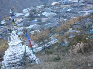 Langtang with Tamang heritage Trekking
